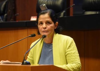 Urge senadora Rocío Corona a Estados del Sur a rendir cuentas de la política migratoria