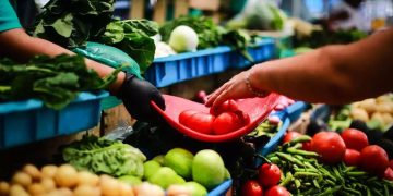 Reportan un aumento en la canasta básica en diciembre