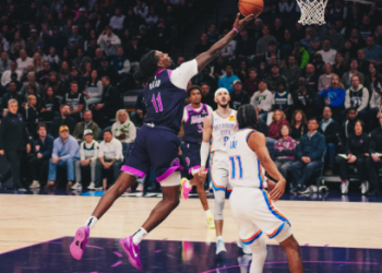 timberwolves