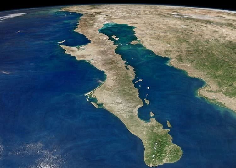 ONU cuestiona megaproyectos de gas fósil en el Golfo de California y lanza alerta a México | FOTO UNIVERSIDAD DE CALIFORNIA