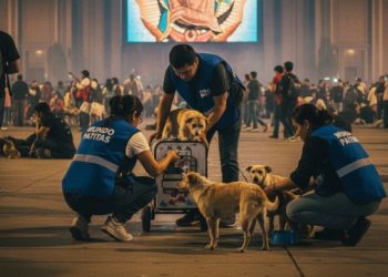 ✨​ Conoce la labor de la ONG que salva vidas caninas en la Basílica de Guadalupe
