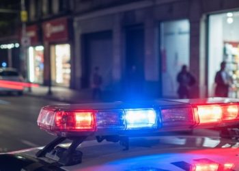 🚓 Detenido un presunto líder criminal socio del exdirector de Miss Universo en México