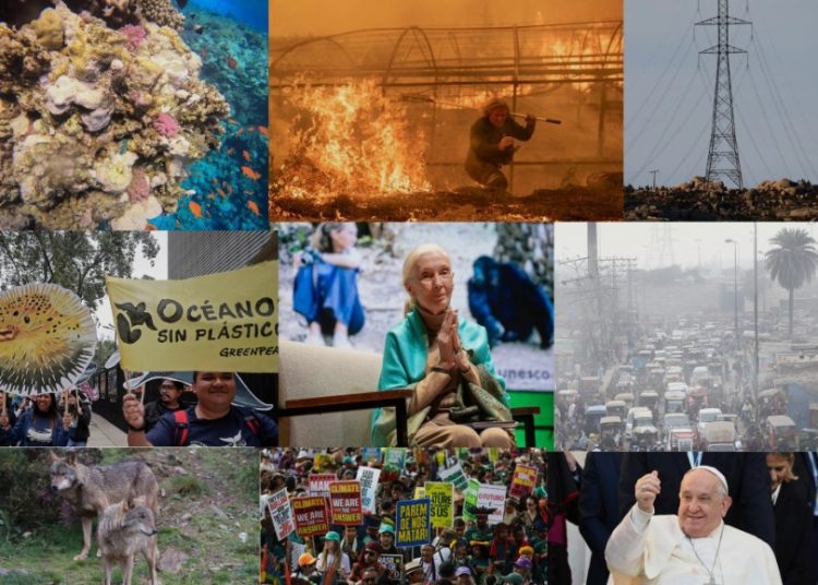 Las noticias ambientales que deja 2025 | FOTO EFE