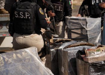Aseguran camión con droga valuada en 69 millones en la carretera Campeche–Mérida