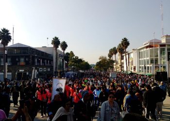 En marcha Operativo Basílica 2025 de Profeco