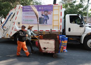 ♻️ Cambian los días de recolección de basura: así deberás separarla a partir del 1 de enero