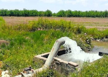 “Ley General de Aguas le da control total a la autoridad”: CNC; “Consideramos que al sector agropecuario no le irá tan mal”: FNRCM