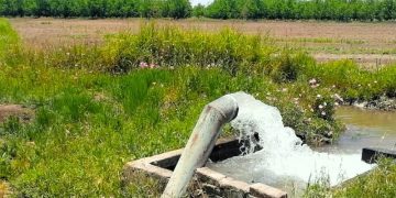 “Ley General de Aguas le da control total a la autoridad”: CNC; “Consideramos que al sector agropecuario no le irá tan mal”: FNRCM