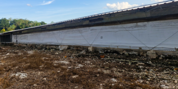 Profepa clausura desmonte ilegal de 23 hectáreas de selva en Kanasín, Yucatán