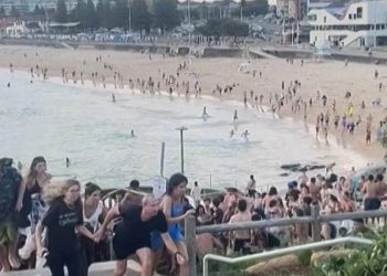 Confirman que padre e hijo fueron los autores del atentado terrorista en la playa de Bondi