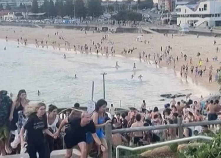 El parque Archer, junto a la playa de Bondi, fue escenario del atentado terrorista