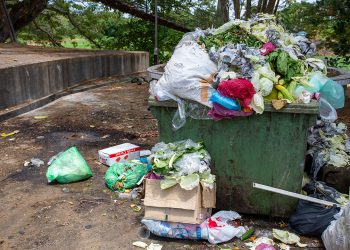 Navidad deja “factura ambiental” en México: más basura, comida desperdiciada y contaminación