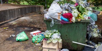 Navidad deja “factura ambiental” en México: más basura, comida desperdiciada y contaminación