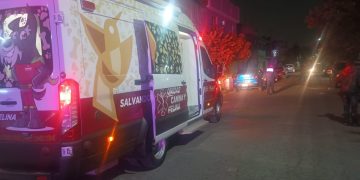 En Ecatepec rescataron a perritos maltratados