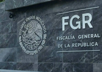 FGR asegura casi 80 kilos de marihuana y destruye plantío de 2,000 plantas en Jalisco