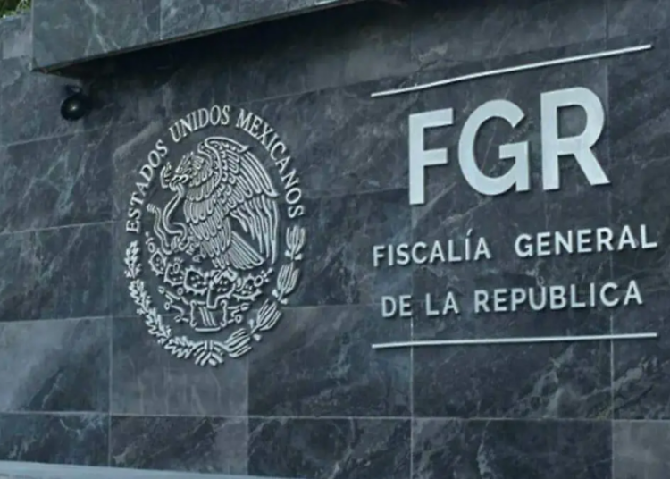 Elementos de la FGR aseguran casi 80 kilos de marihuana en Hostotipaquillo, Jalisco