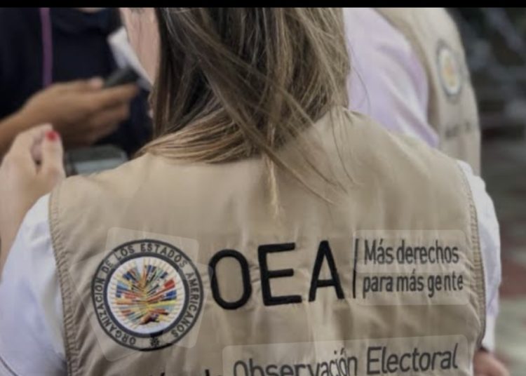 México defiende el derecho de asilo y la dignidad humana en sesión extraordinaria de la OEA