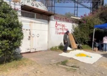 Aún en incertidumbre permanece la situación de los más de mil perros del “Refugio Franciscano”