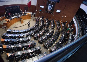 Propone el PT en el Senado registro nacional de menores huérfanos por feminicidio, estaría a cargo de la CEAV
