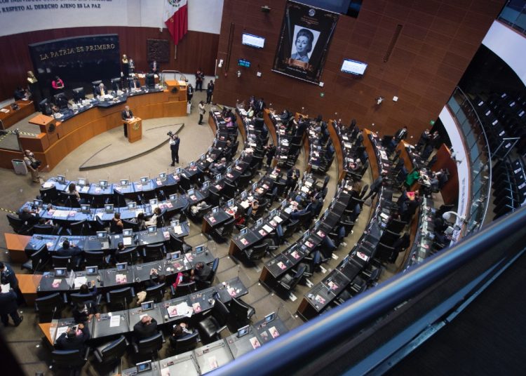 El Senado impulsa un registro nacional de menores huérfanos por feminicidio para proteger a niños y niñas afectados