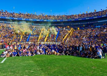 tigres