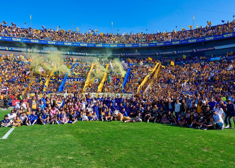 tigres