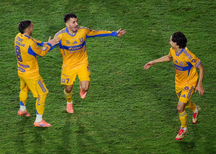 tigres