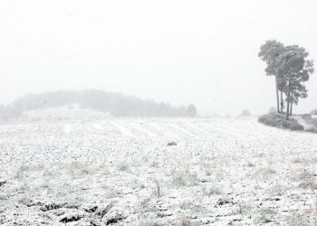 Cofre de Perote en Veracruz registra la primera nevada de la temporada