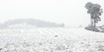 Cofre de Perote en Veracruz registra la primera nevada de la temporada