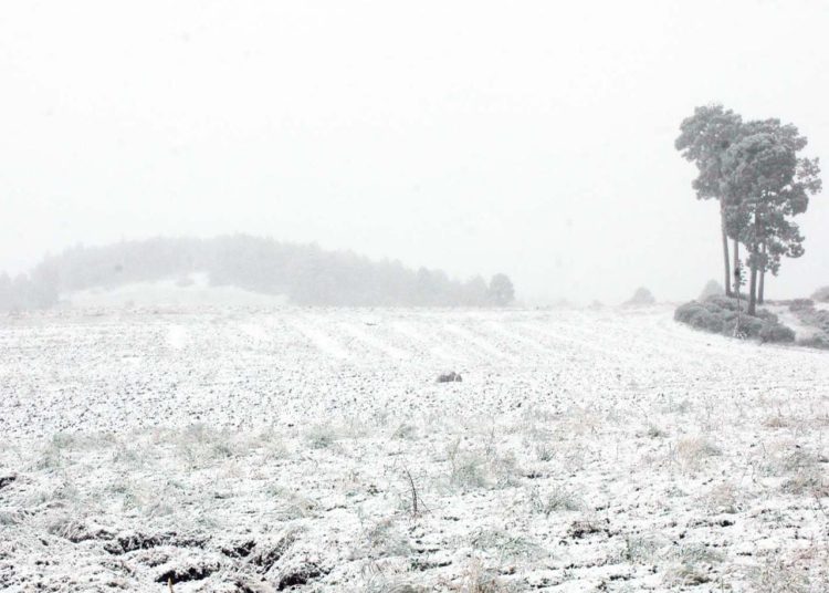 La cima del Cofre de Perote amaneció cubierta de blanco tras la primera nevada de la temporada