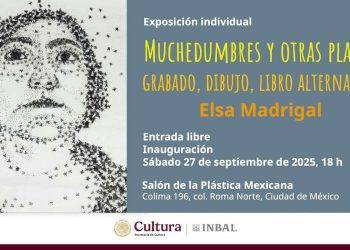 El salón de la plástica mexicana presenta “muchedumbres y otras plagas “