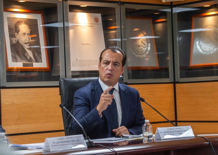 "México aplicará cuotas compensatorias si se confirma el dumping en Manzana": Luis Rosendo Gutiérrez