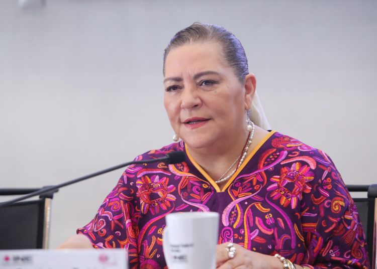 "El INE no hace leyes, hay que tener prudencia con la reforma electoral": Taddei