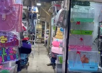 Las ventas en el Mercado Sonora caen al 100% tras prohibición de animales vivos