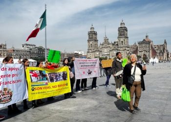 Representantes del Refugio Franciscano visitarán a los perros rescatados