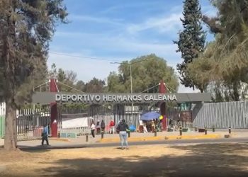 Denuncian desaparición de 500 perros tras desalojo del Refugio Franciscano