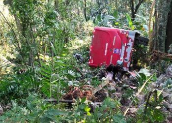 Vuelca camión con estudiantes en zona montañosa de Veracruz