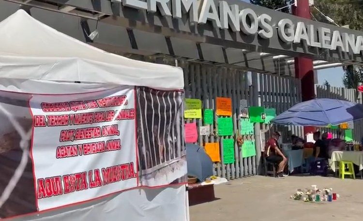 Mantienen plantón por 187 perros retenidos en el Deportivo Hermanos Galeana