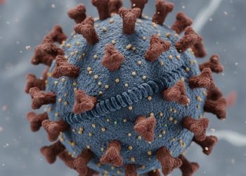 La India rebaja la alarma por el virus Nipah