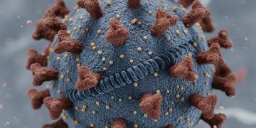 La India rebaja la alarma por el virus Nipah