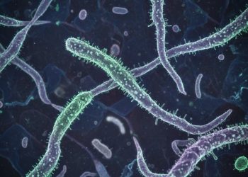 ¿Qué tan alerta debemos estar del virus Nipah?