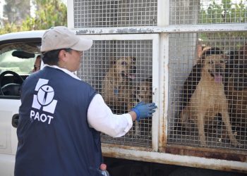 CDMX acusa al PRI de infiltrar conflicto con Refugio Franciscano