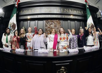 Se trabajará en los consensos para concretar la reforma electoral: Laura Itzel Castillo