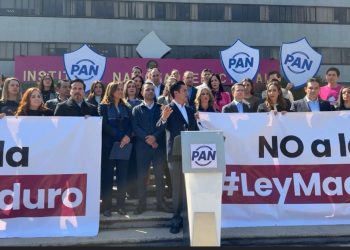 La dirigencia del PAN entrega carta a Guadalupe Taddei por Reforma Electoral