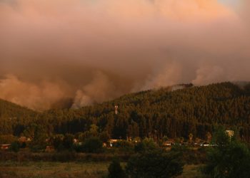 Sube a 20 los muertos por incendios forestales en Chile