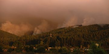 Sube a 20 los muertos por incendios forestales en Chile