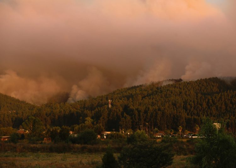 Brigadistas combaten los incendios forestales en la región del Biobío, una de las zonas más afectadas por la emergencia en Chile. EFE/ Pablo Hidalgo