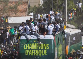 Euros y parcelas a los campeones de África