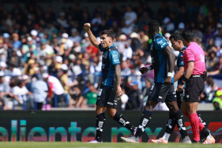 gallos