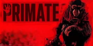 Primate